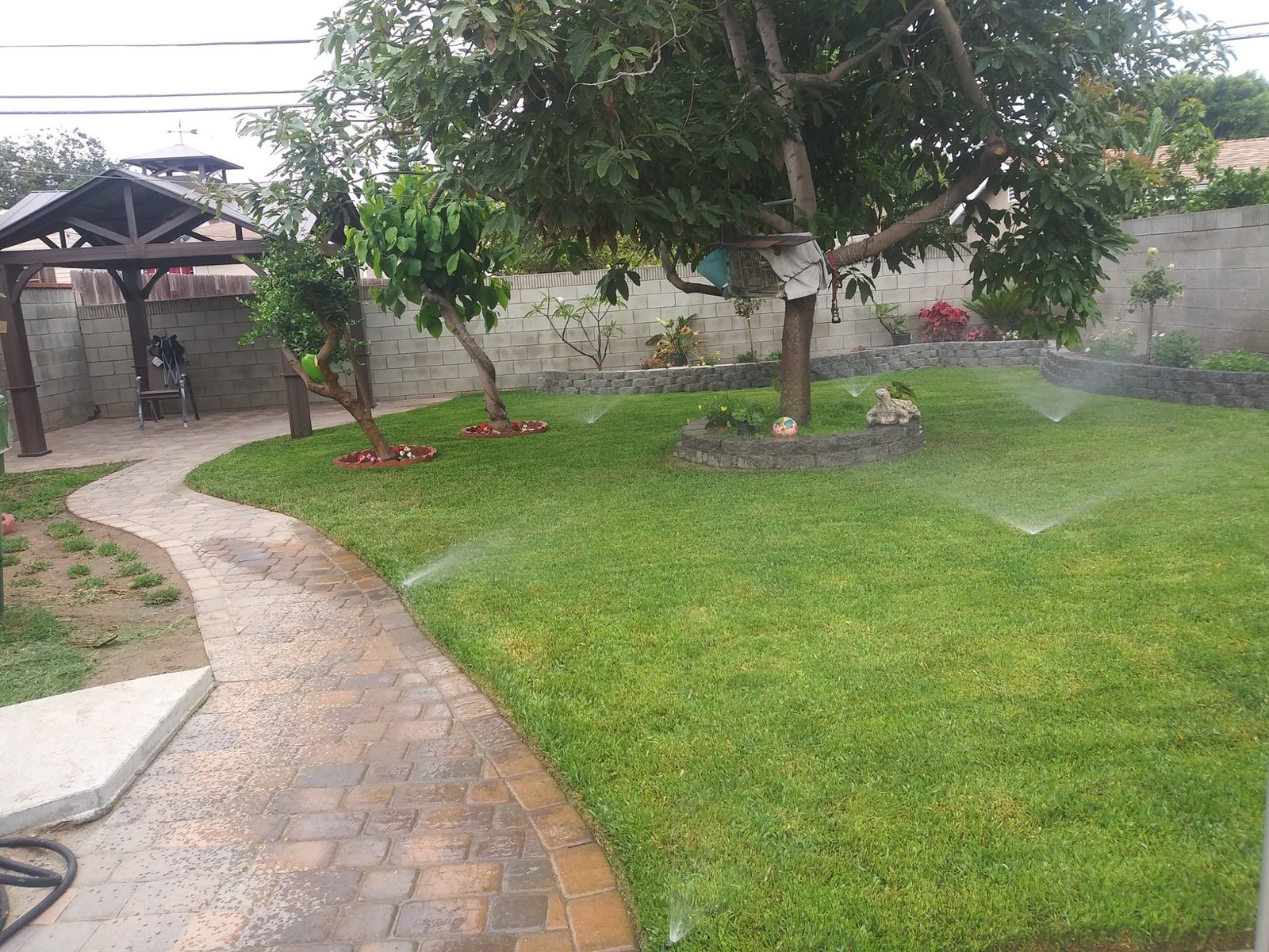 Backyard Renovation with St. Augustine Sod, Irrigation System, Paver Walkway, Pergola, and Retaining Block Planters